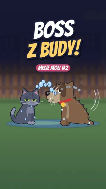 Mokra Mola i pies Reks otrząsający się z wody obok kałuży